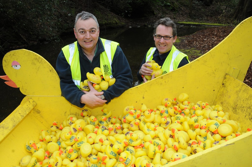 Lymm Duck Race Lymm Duck Race